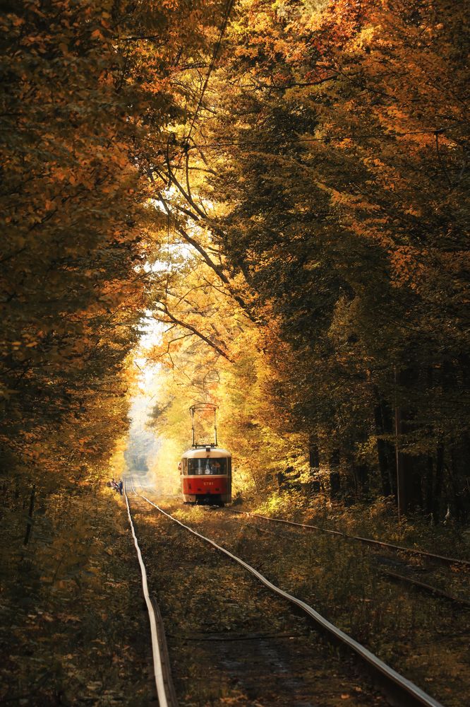 Photograph by Антоніна Вознюк