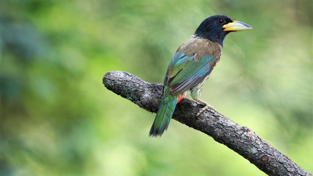 Photograph by VIVEK JOSHI