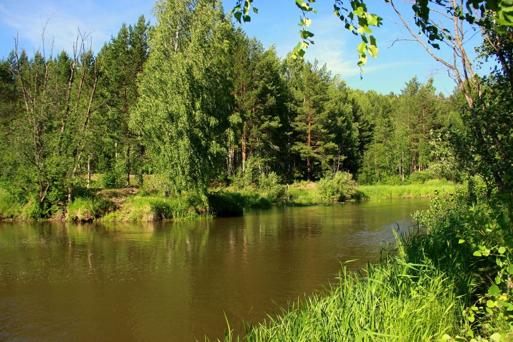 Фотография автора Nelya  Lysenko