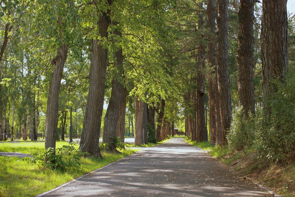 Фотография автора Nelya  Lysenko