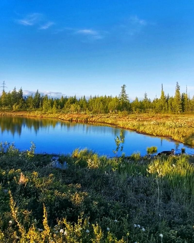 Photograph by Юлия Арестова