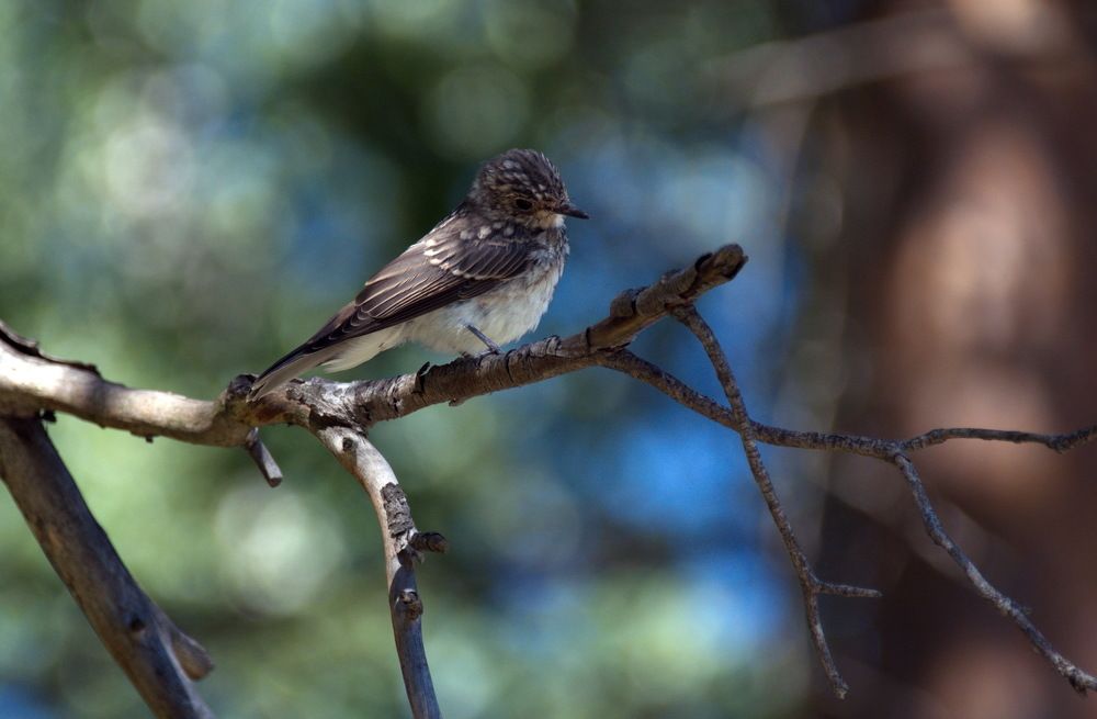 Photograph by Александр Дурасов