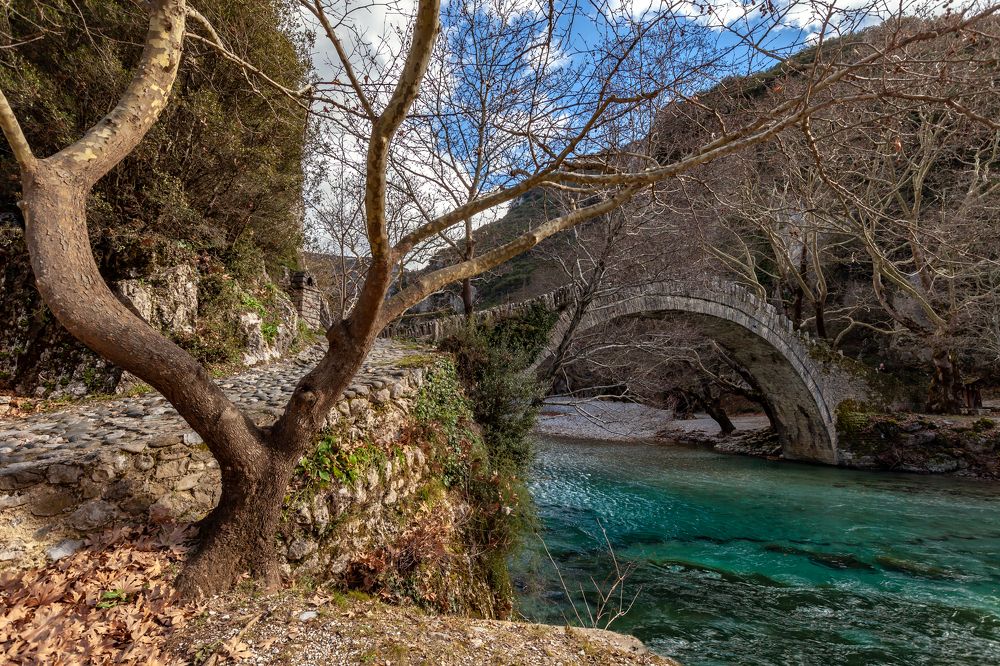 Фотография автора Людмила Прокофьева