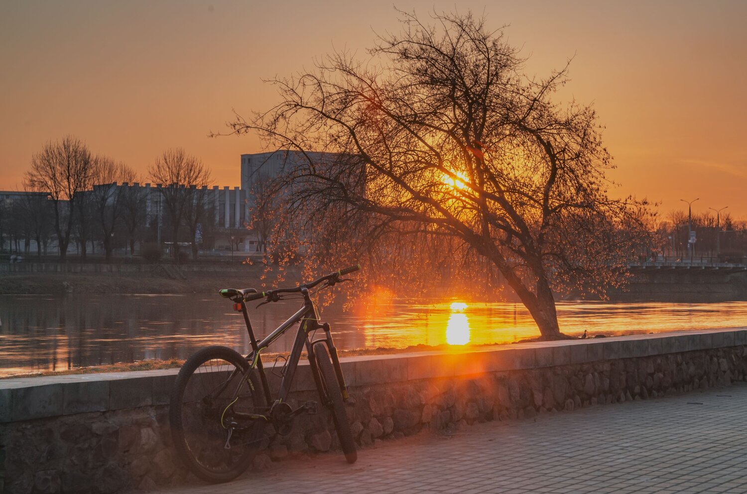 Photo #6307892