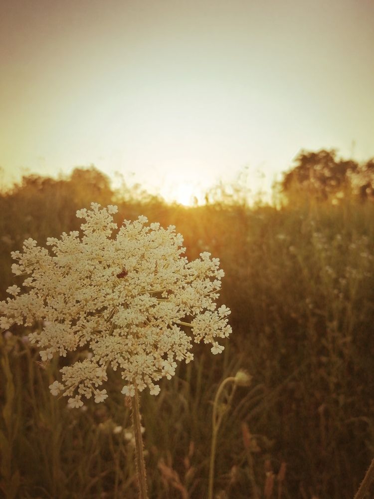 Photograph by Mila Gaziuc