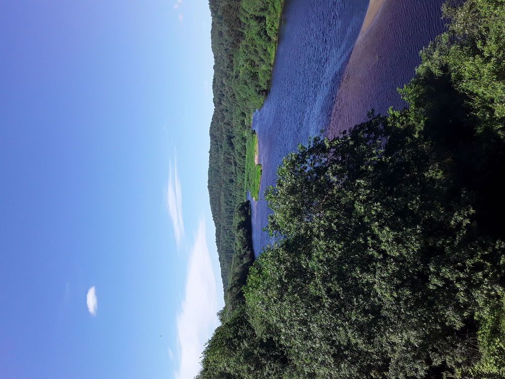 Photo #6307940