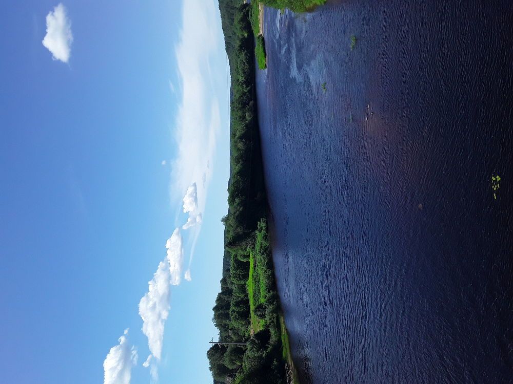 Photo #6307947
