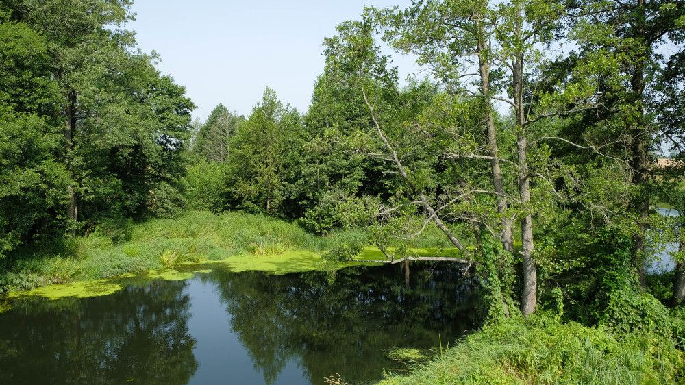 Фотография автора Александр Буренко