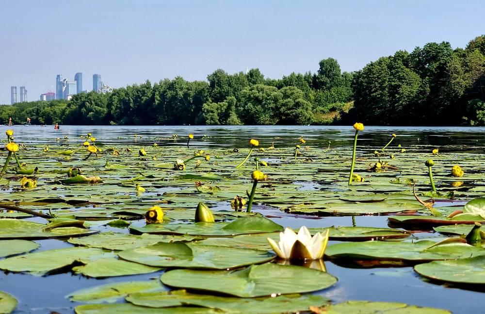 Photograph by Геннадий Зайцев