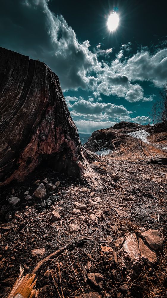 Photograph by Роман Алейников