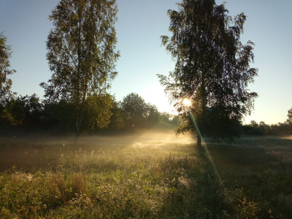 Photograph by Юлия