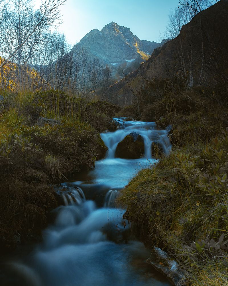 Photograph by 