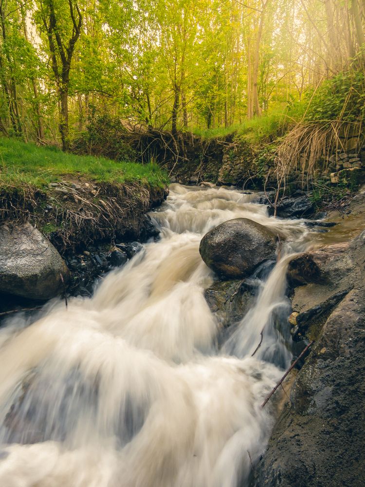 Photograph by Bahrami Ashkan