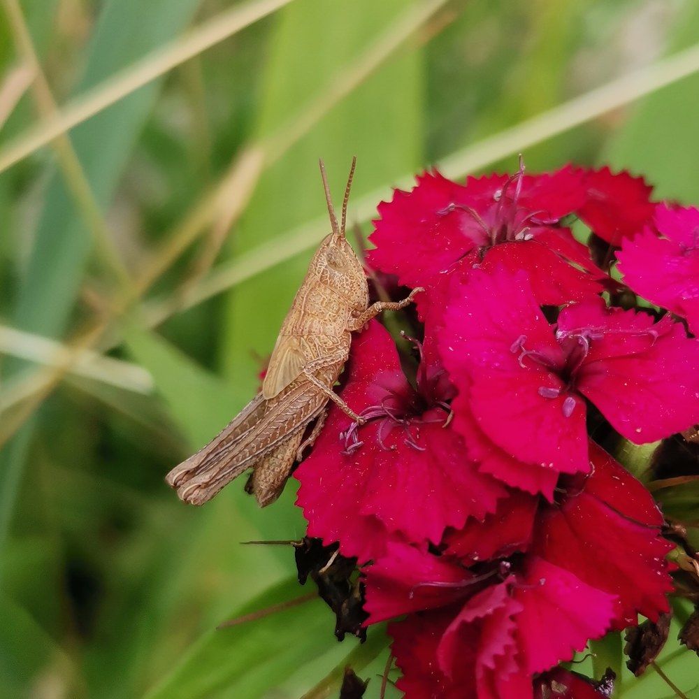 Photograph by Екатерина Супраненок