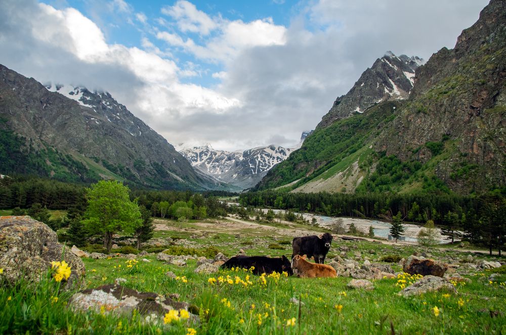 Кабардино-Балкария