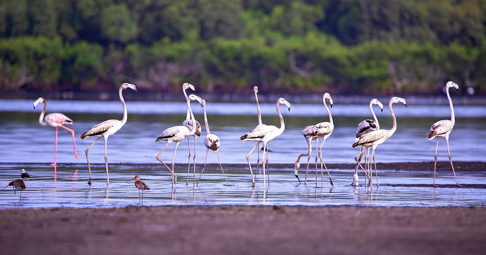 Photograph by Furqan LW