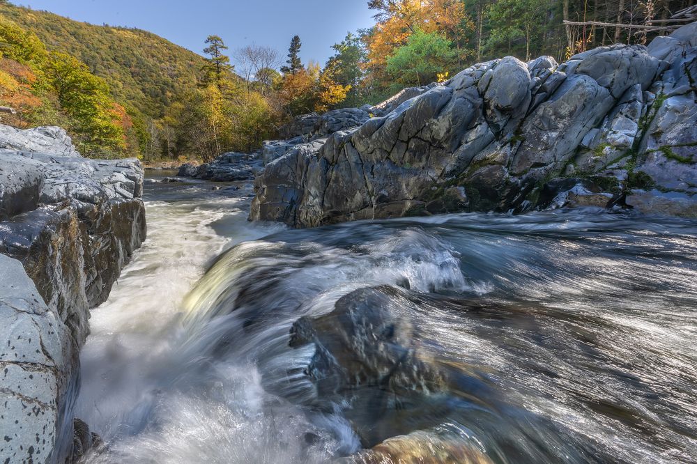 Фотография автора Ольга Мусиенко