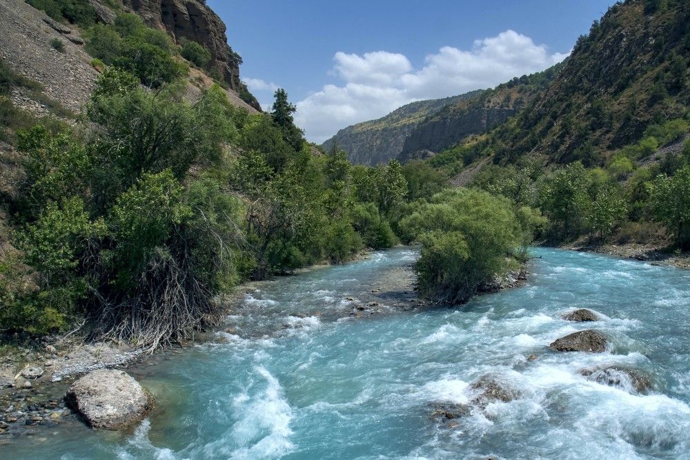 Photograph by Александр Грищенко