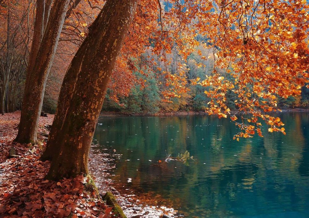 Photograph by Светлана