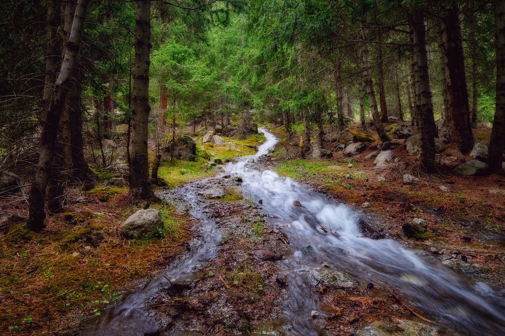 Photograph by Алексей Вымятнин