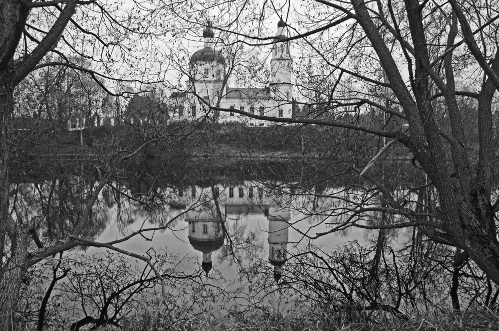 Cквозь "паутину" ветвей