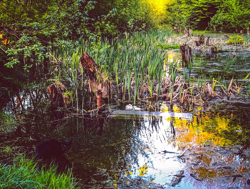 Photograph by Андрей Кошман