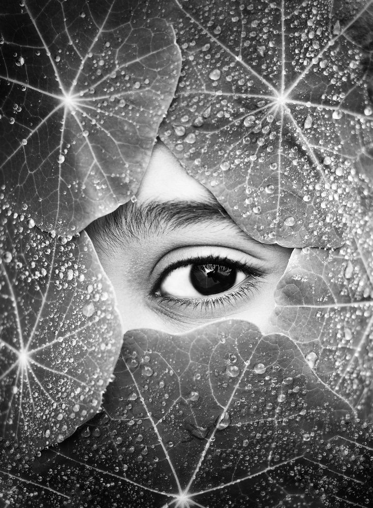 Фотография автора Z Fatemi