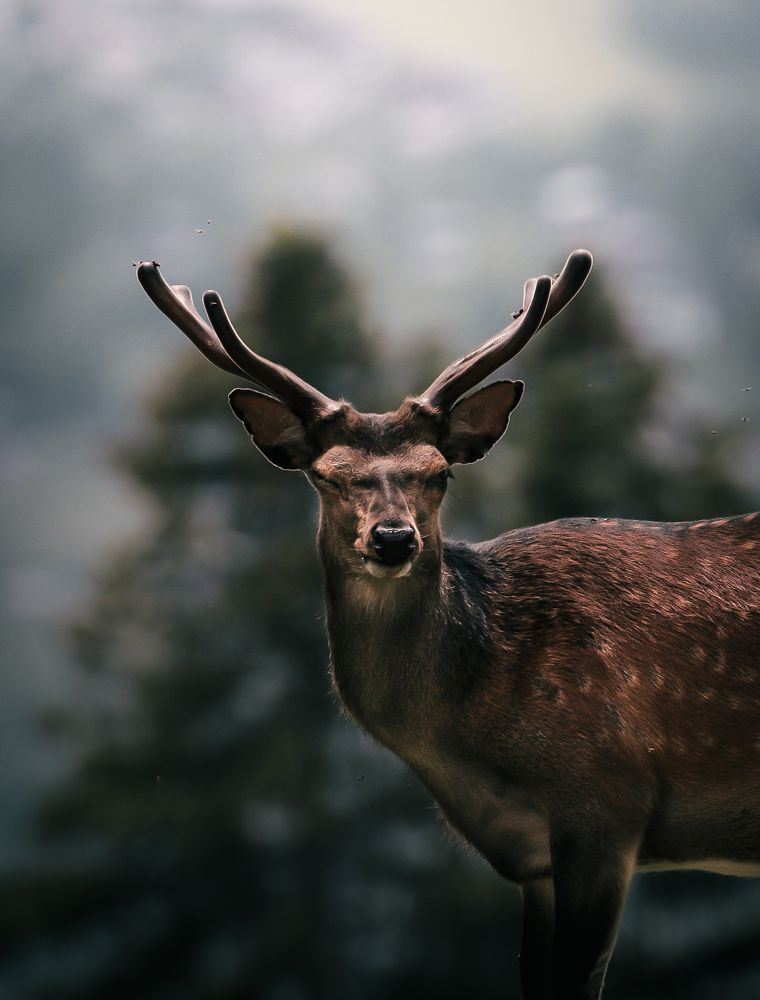 Photograph by Rémi Seznec