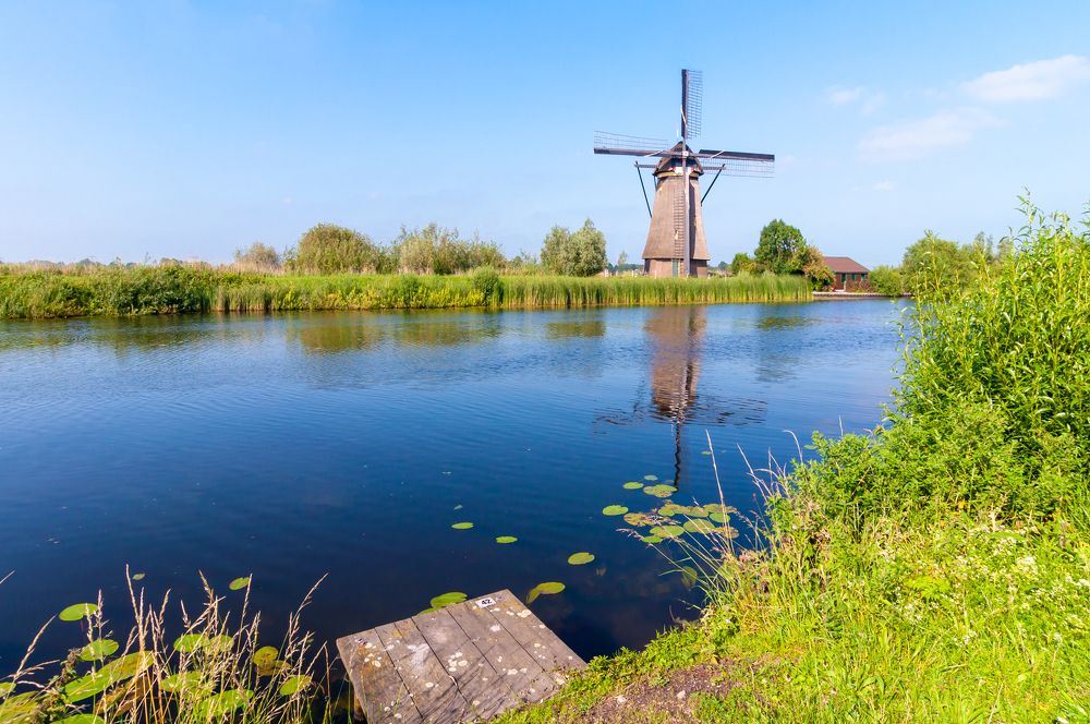 Фотография автора Людмила Прокофьева