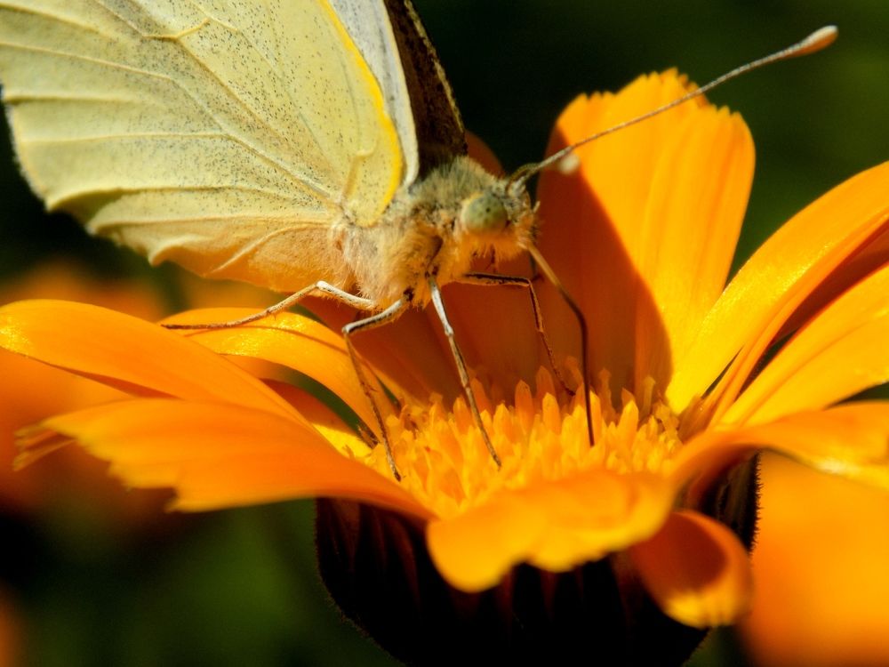 Photograph by Валентина Смирнова