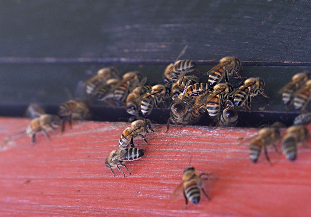 Photograph by ILONA KILA