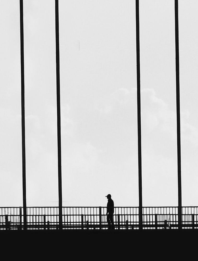 Фотография автора Z Fatemi