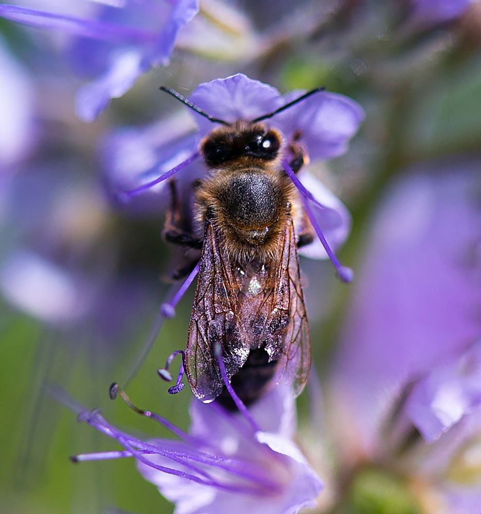 Photograph by ILONA KILA