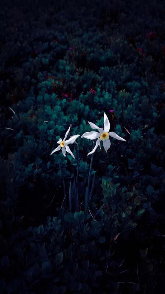 Photograph by Iгор Ситар