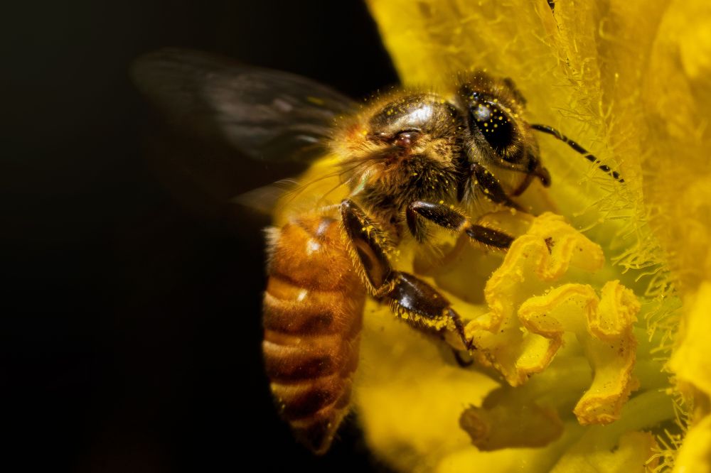 Photograph by PRIYOJIT CHOWDHURY