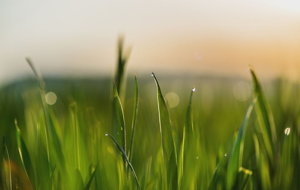 Photograph by Александр Идельчик