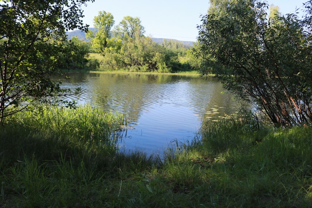 Photograph by Наталья Шкатова