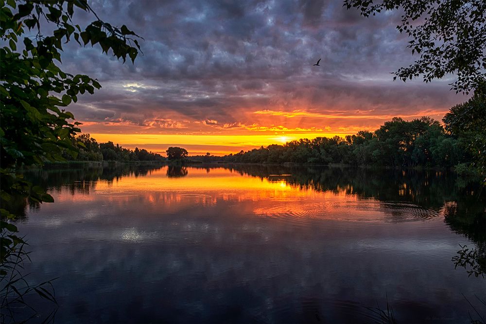 Photograph by Светлана Кравченко