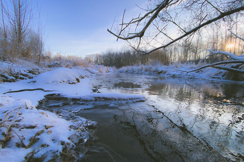 Photograph by Александр Козинец