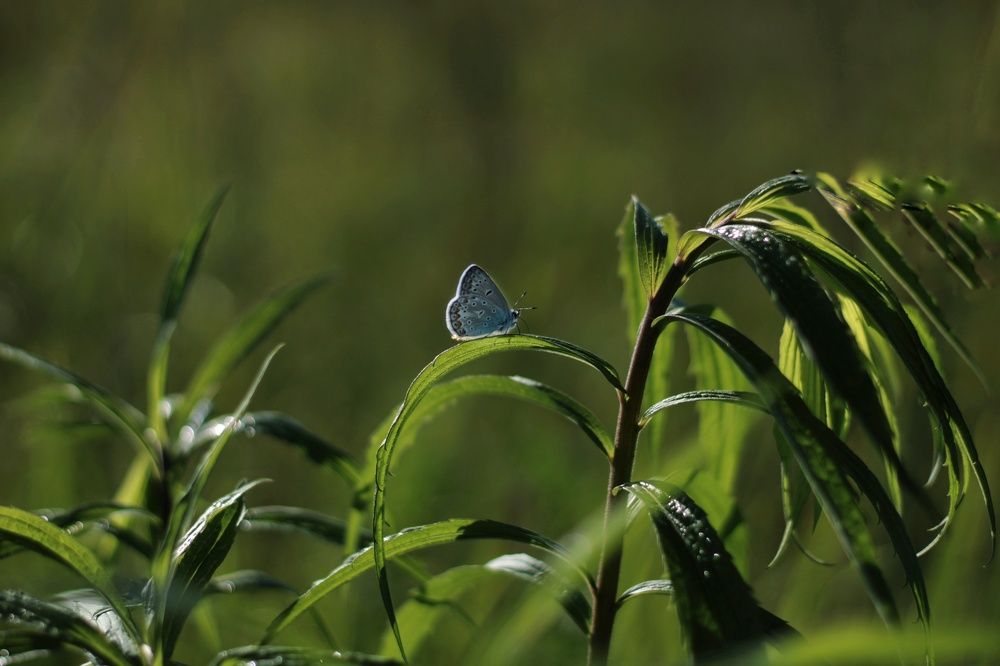 Photograph by Инна Карасева