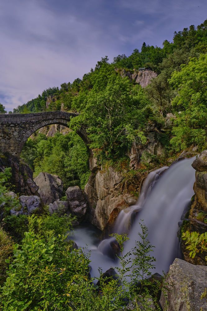 Photograph by Adelaide Sá