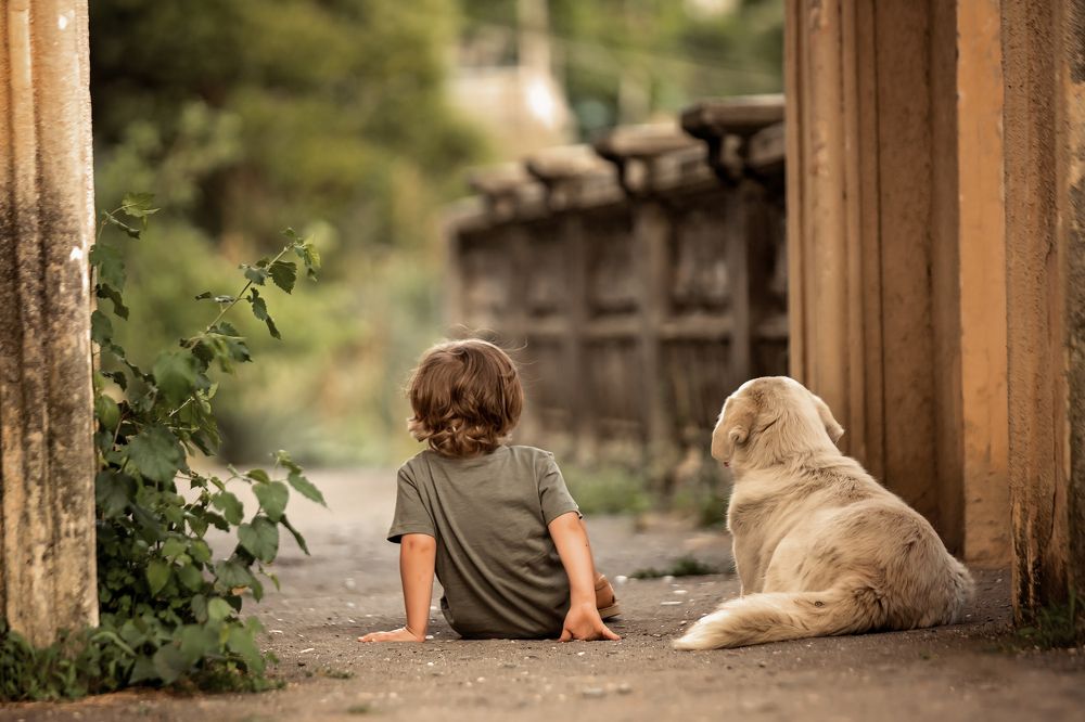 Photograph by Эля Цишба