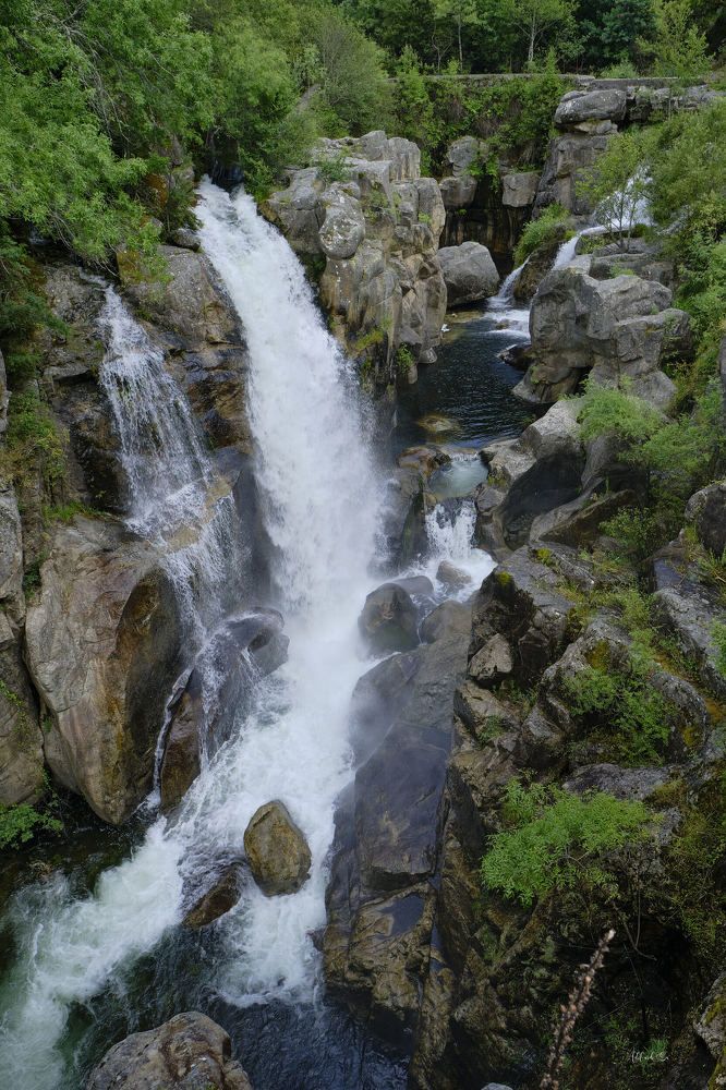 Photograph by Adelaide Sá