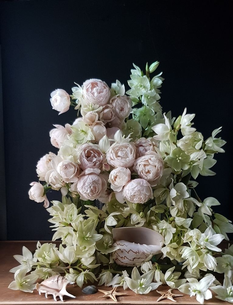 Photograph by Людмила Шатерникова