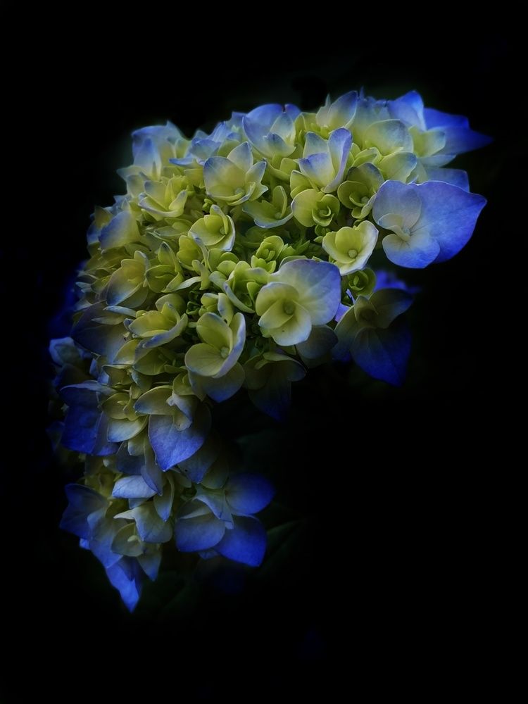 Photograph by Нина Сучкова