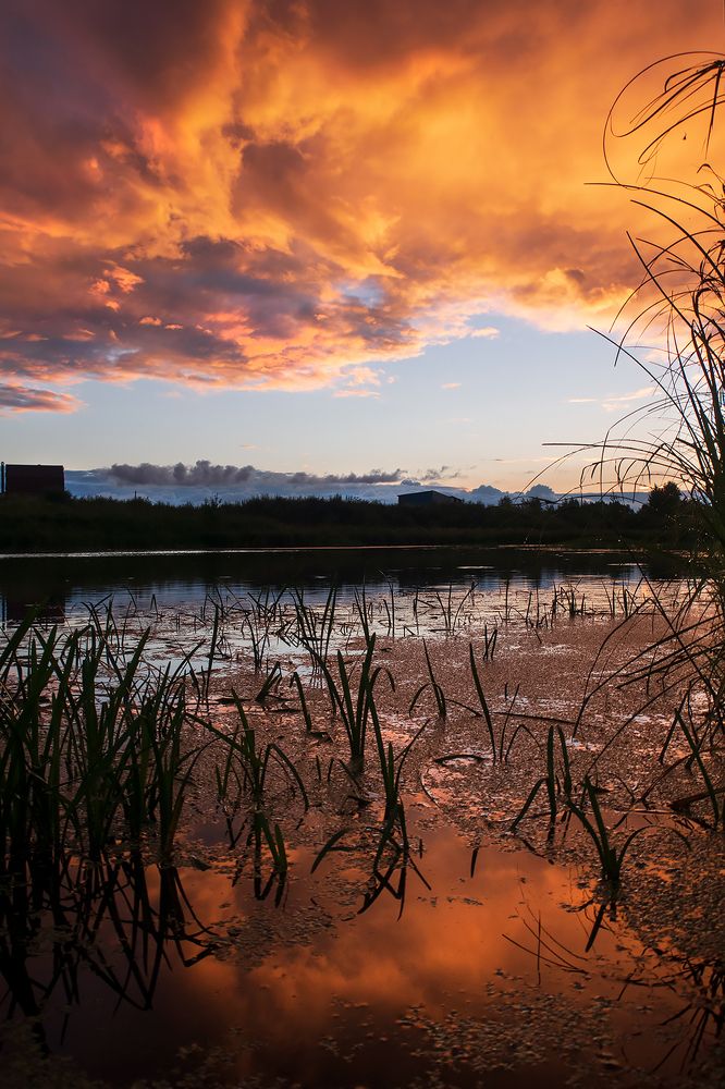 Photograph by Юлия Орлова