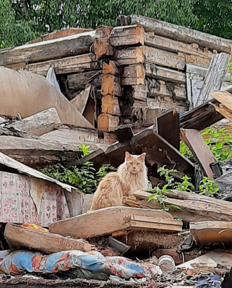 Photo #6308906