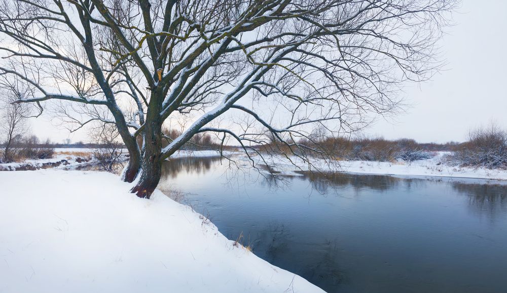 Photograph by Андрей