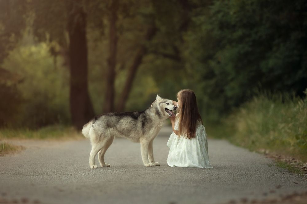 Девочка и волк