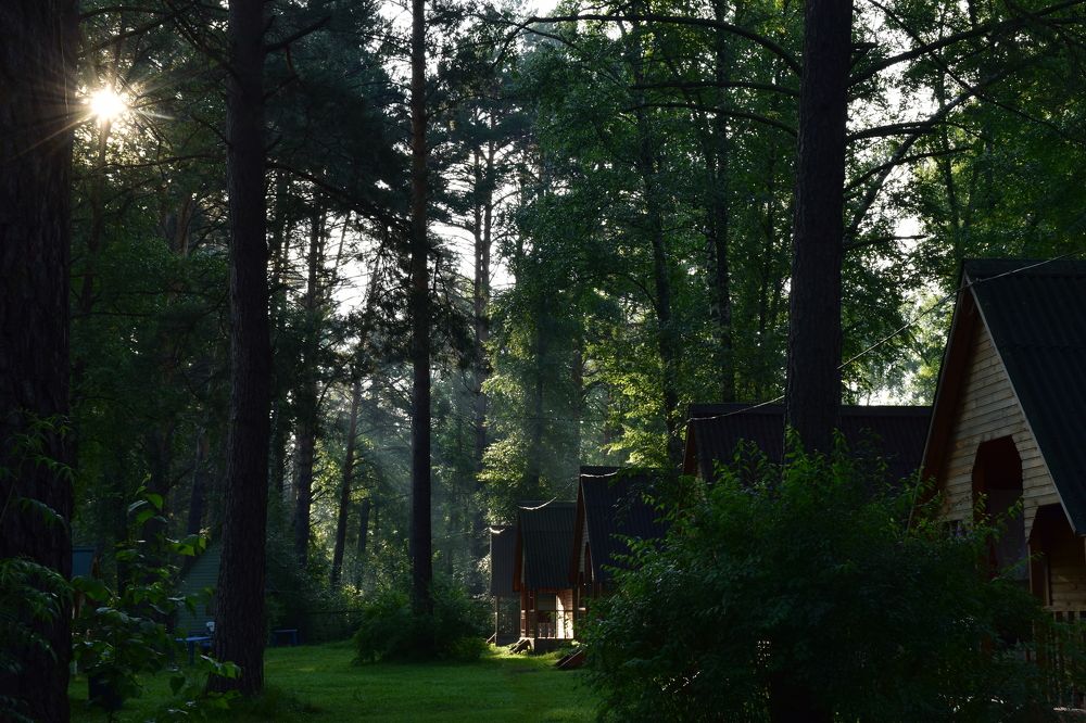 Photograph by Ирина Шабанова